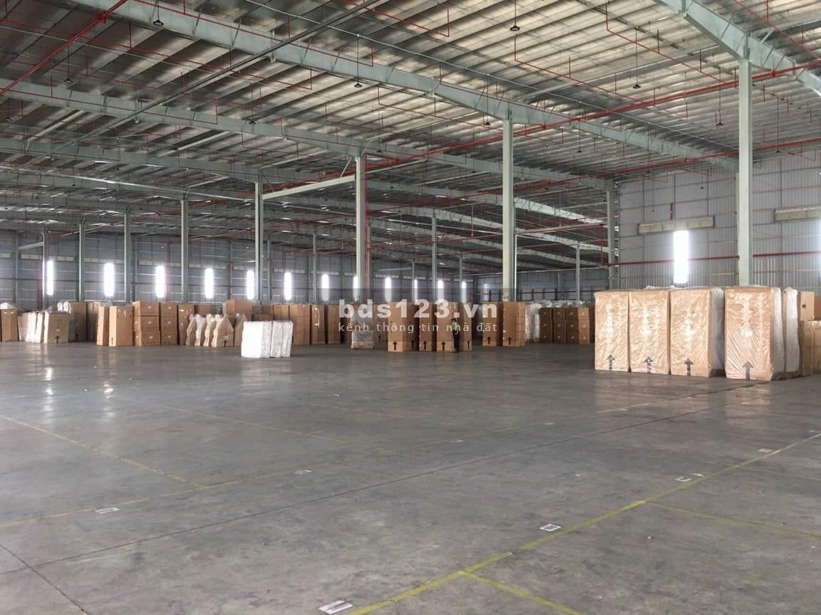 Dịch vụ cho thuê kho bãi uy tín và chuyên nghiệp tại Tp.HCM