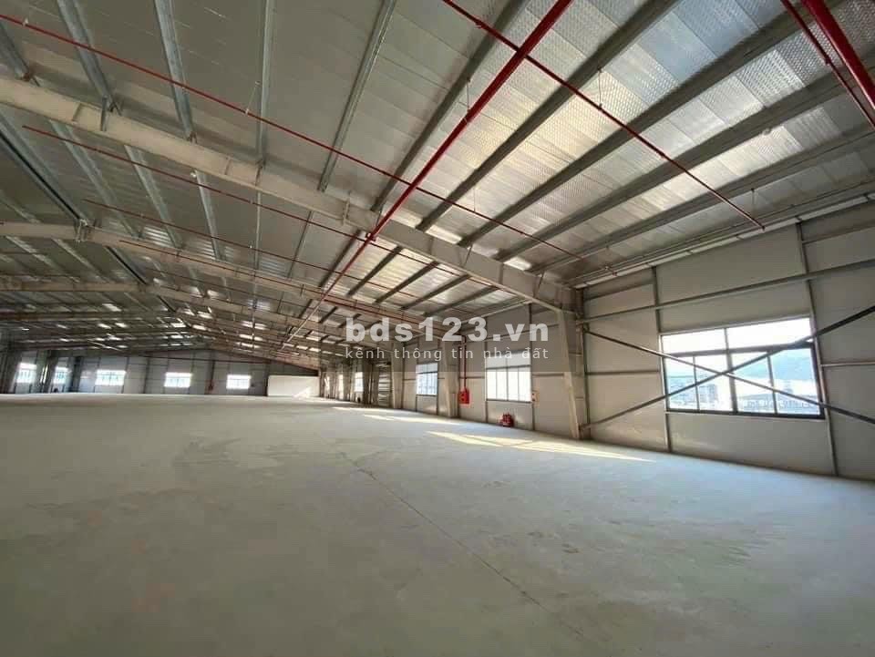 Dịch vụ cho thuê kho bãi uy tín và chuyên nghiệp tại Tp.HCM