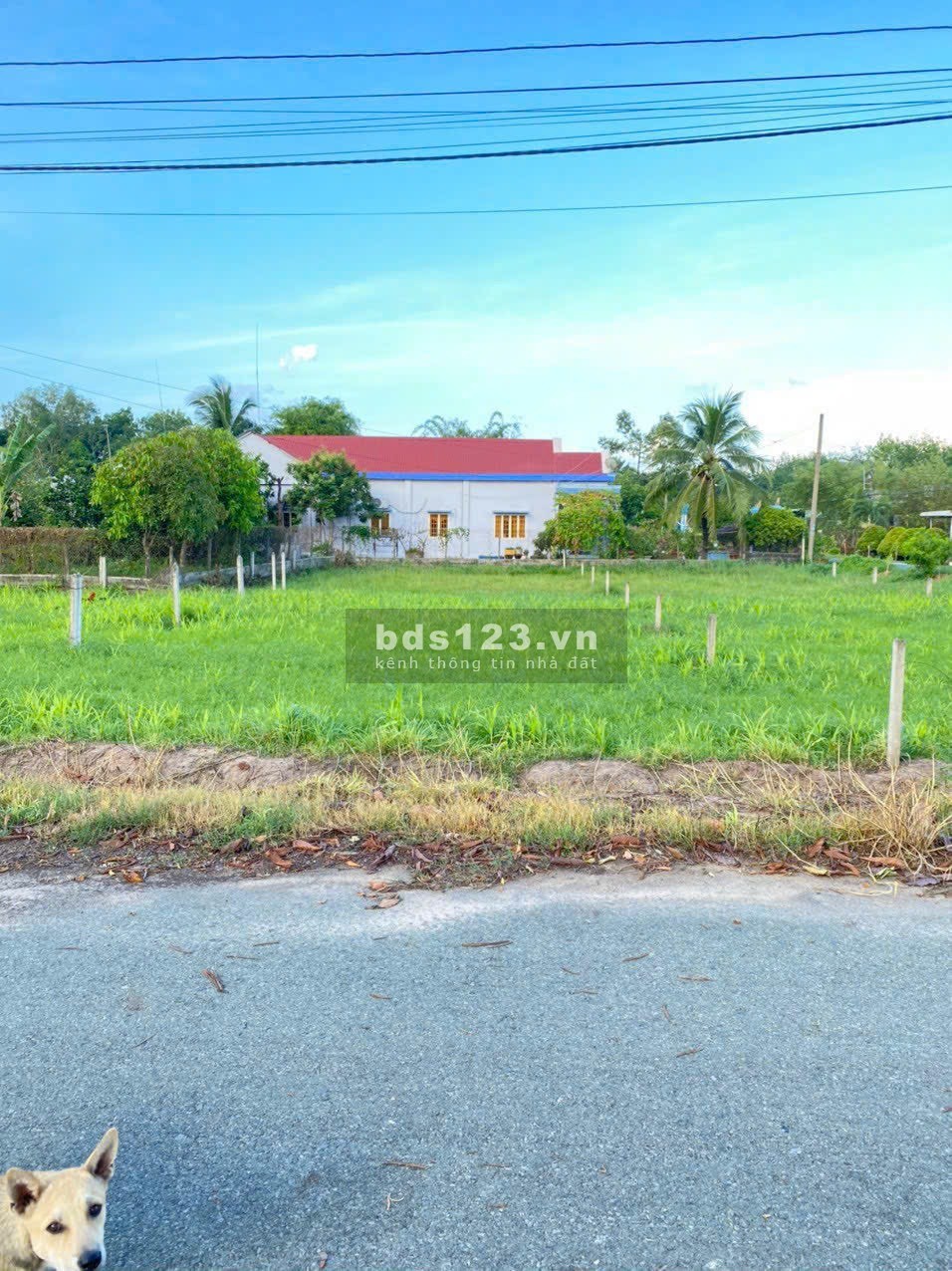 Cần bán gấp lô đất đường nhựa 1/ Trương Thị Kiện, Thái Mỹ, Củ Chi giá chỉ 900 triệu