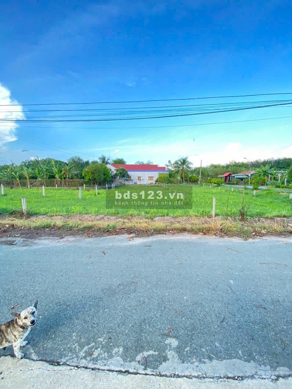 Cần bán gấp lô đất đường nhựa 1/ Trương Thị Kiện, Thái Mỹ, Củ Chi giá chỉ 900 triệu