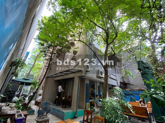 Biệt Thự sân vườn Ba Đình. Hồn Quê giữa lòng Hà Nội. 226m, 3T, Mt 11m, 55 Tỷ. Để Ở hoặc làm Vp Cty