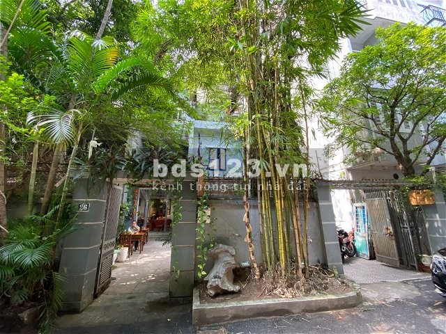 Biệt Thự sân vườn Ba Đình. Hồn Quê giữa lòng Hà Nội. 226m, 3T, Mt 11m, 55 Tỷ. Để Ở hoặc làm Vp Cty