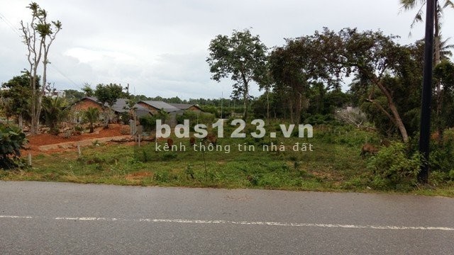 Bán đất vườn DT 2000m², giá chỉ 290 triệu