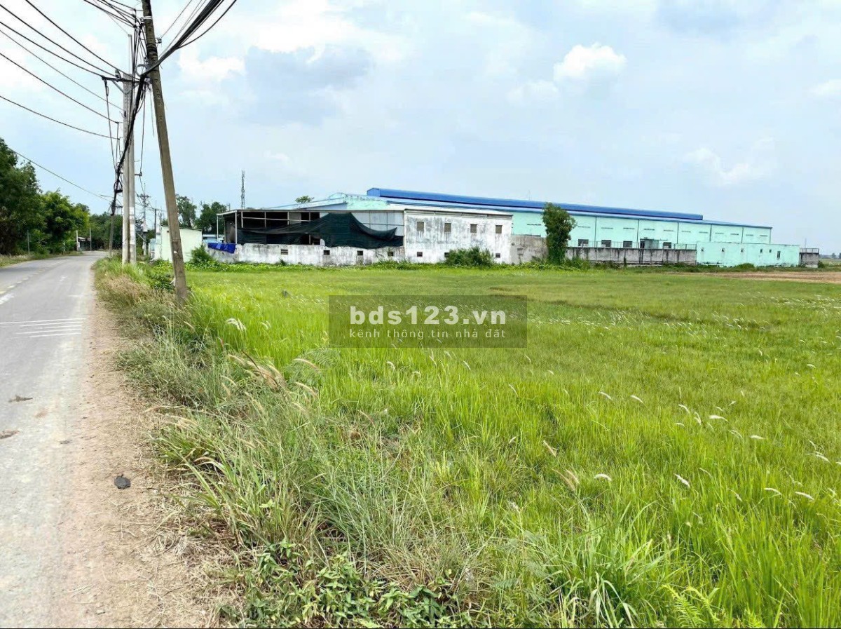 Bán hơn 500m2 đất vườn 1 sẹc TL7 Phước Hiệp Củ Chi quy hoạch KDC 980TR