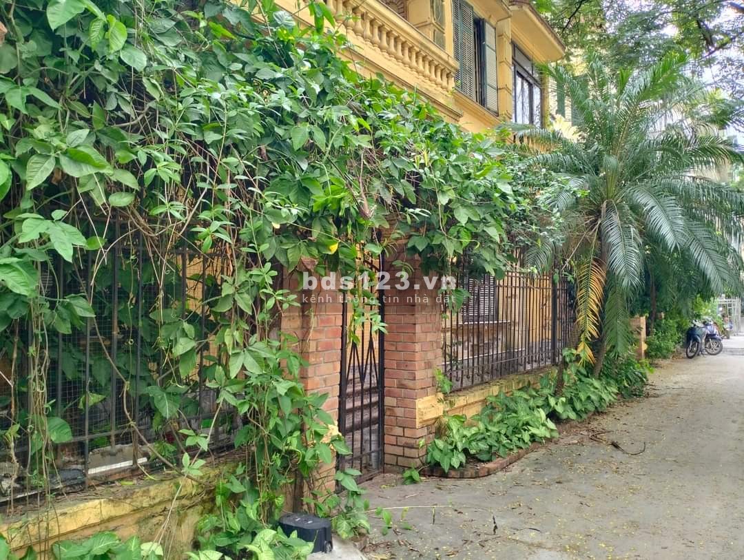 Bán biệt thự phố Kim Đồng DT 177m², MT 26m