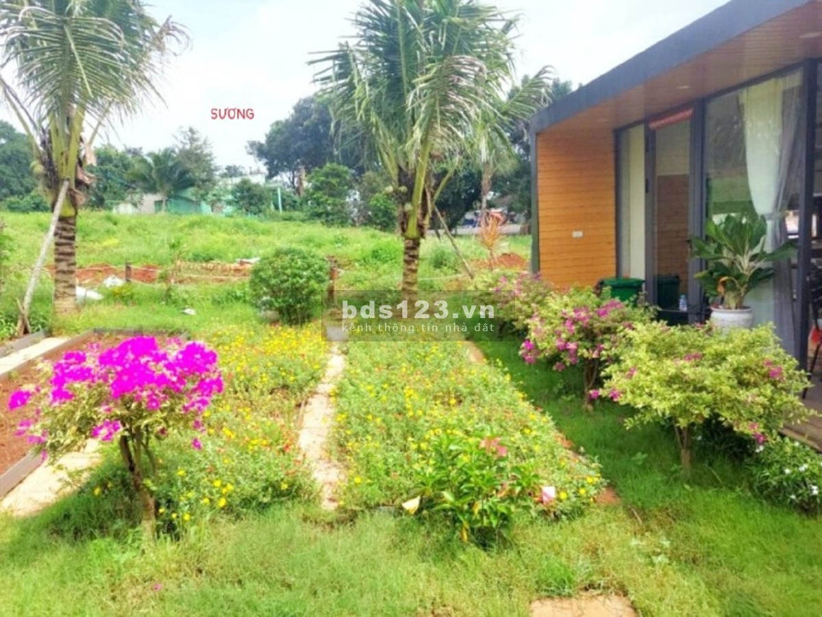 Gia đình cần tiền sang gấp 4.320M2 đất 2 mặt tiền QL20. Gía 6 tỷ 8.