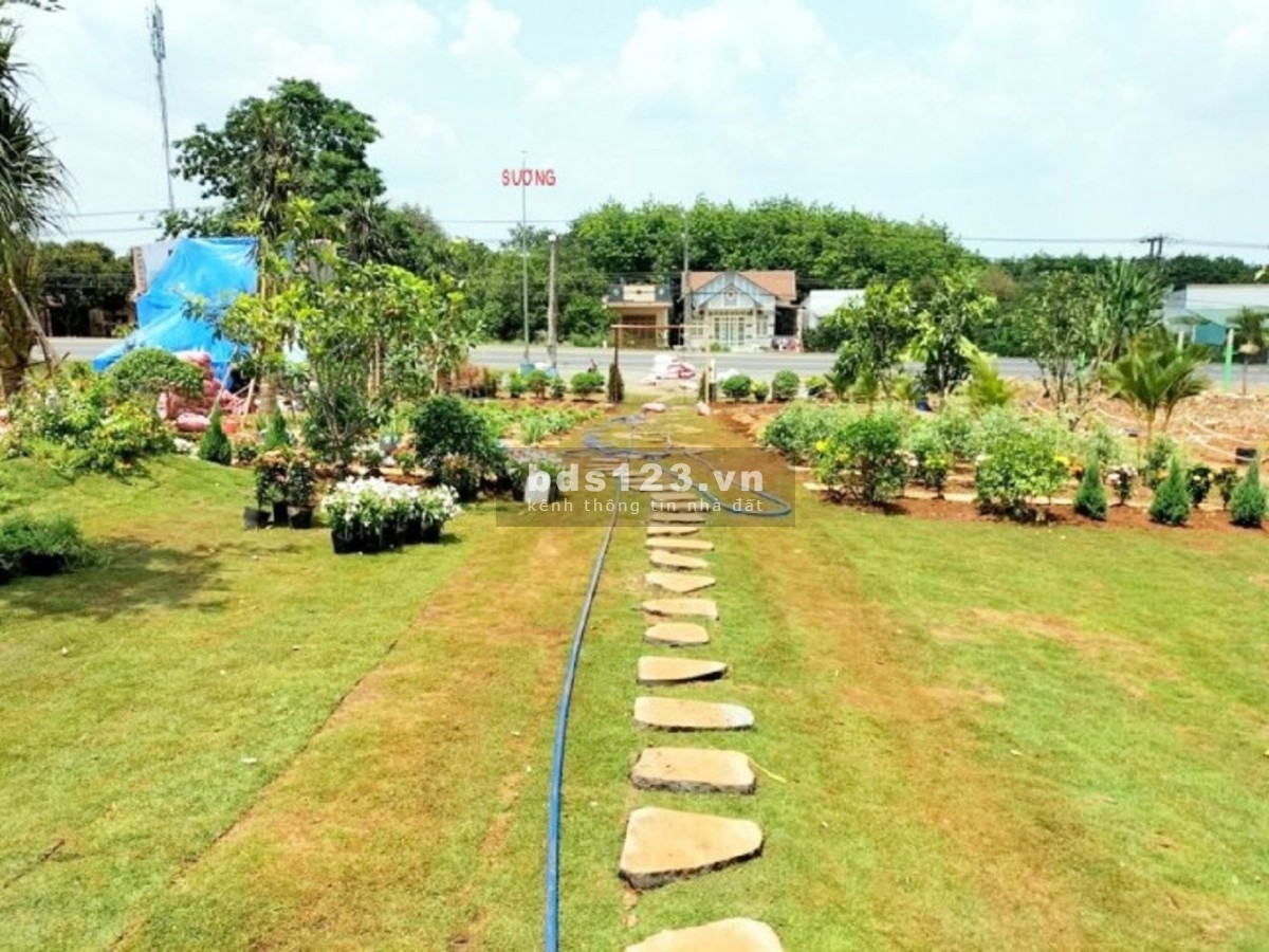 Gia đình cần tiền sang gấp 4.320M2 đất 2 mặt tiền QL20. Gía 6 tỷ 8.