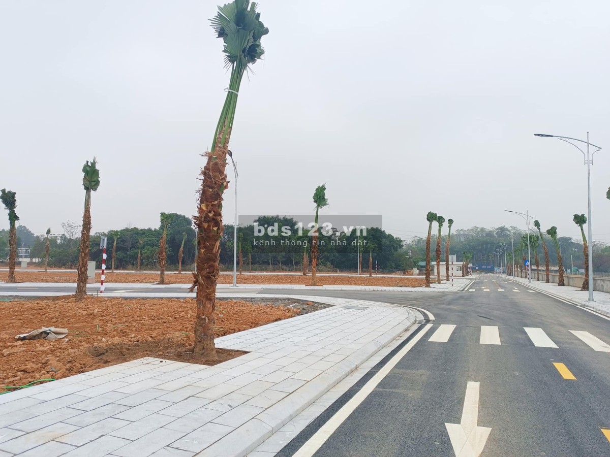 Bán đất nền Việt Trì Spring City giá chỉ từ 19 triệu/m2.