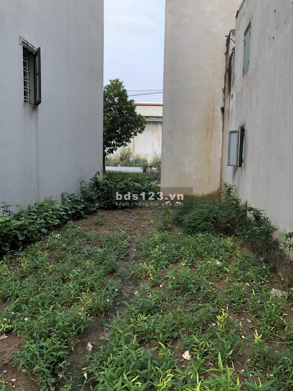 Bán đất Vĩnh Hưng, phân lô ô tô đỗ cửa, vào nhà, tiện ích bạt ngàn 70m², giá 8,6 tỷ