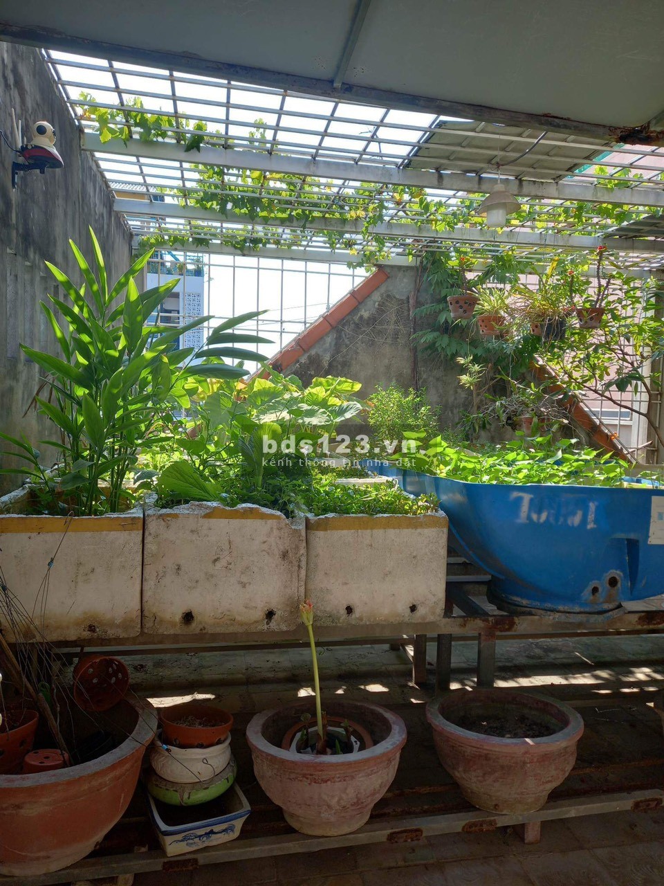 Bán nhà mặt tiền Lê Tấn Trung, Sơn Trà