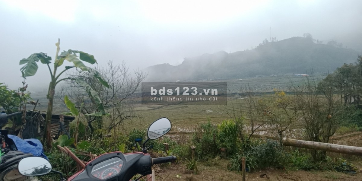 Cần bán mảnh đất rộng 1310m2, thích hợp làm HomeStay tại Sapa