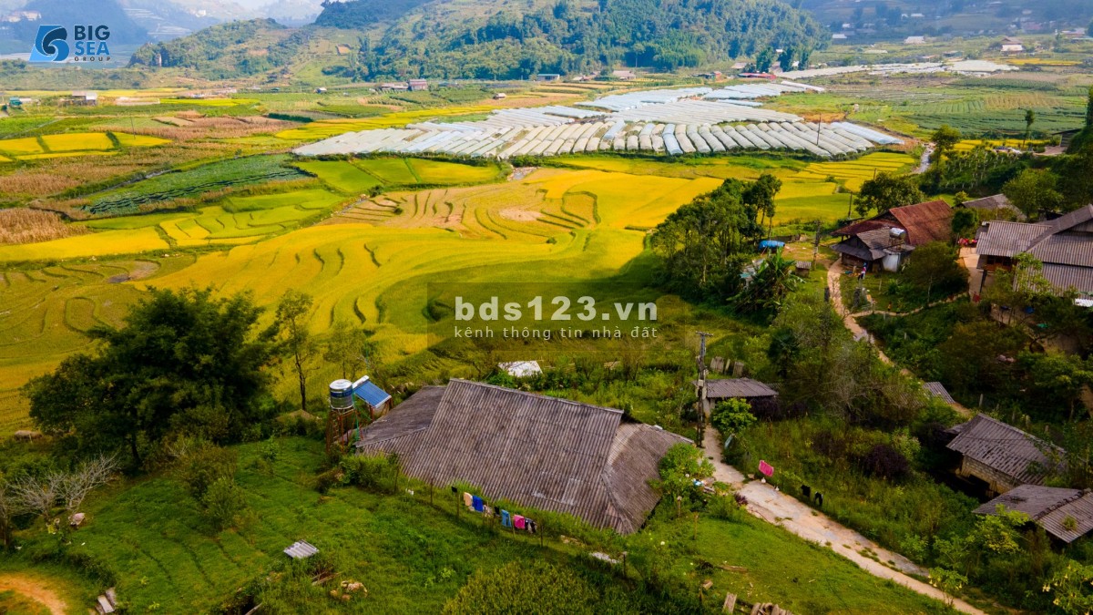 Cần bán mảnh đất rộng 1310m2, thích hợp làm HomeStay tại Sapa