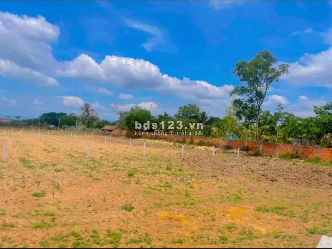 Gia đình cần bán lô đất ở Phú Yên để gồng nợ