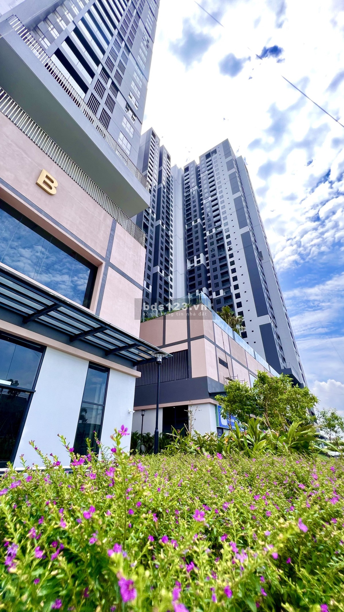 HT Pearl 2PN Vào Ở Ngay Chỉ Với 242 Triệu Ngân Hàng Hỗ Trợ 65% - Tặng 2 Máy Lạnh Và Rèm