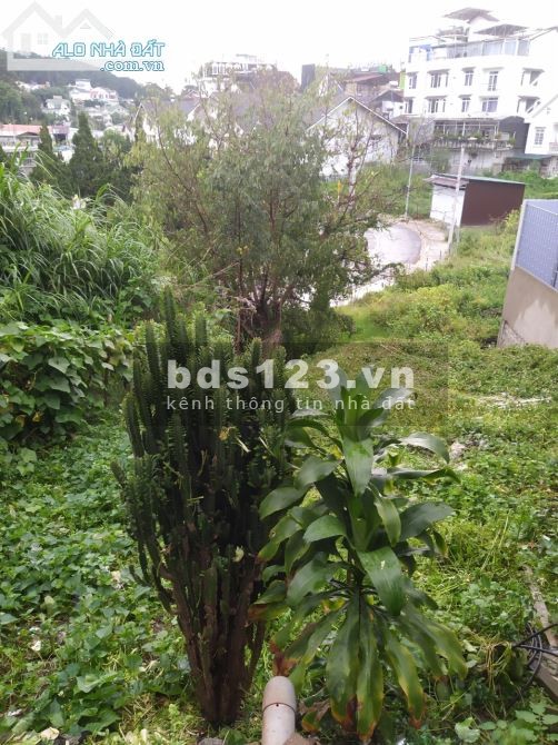 Bán đất tặng nhà 2 mặt tiền Nguyễn Trãi, Đà Lạt