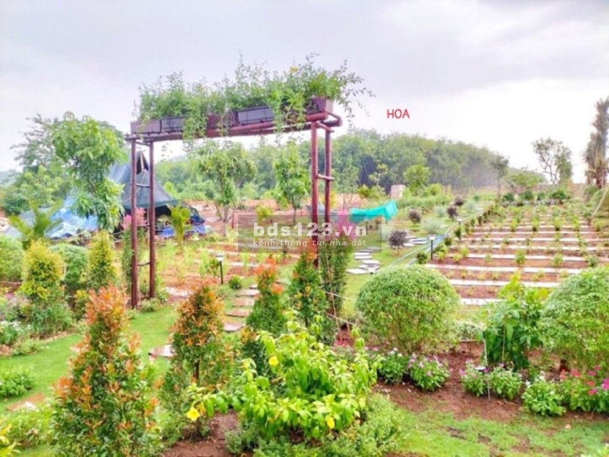 Sang nhượng lô đất gấp 5.000M2 SHR, mặt tiền đường nhựa, sát QL20, giá chỉ từ 1 tỷ 390 triệu