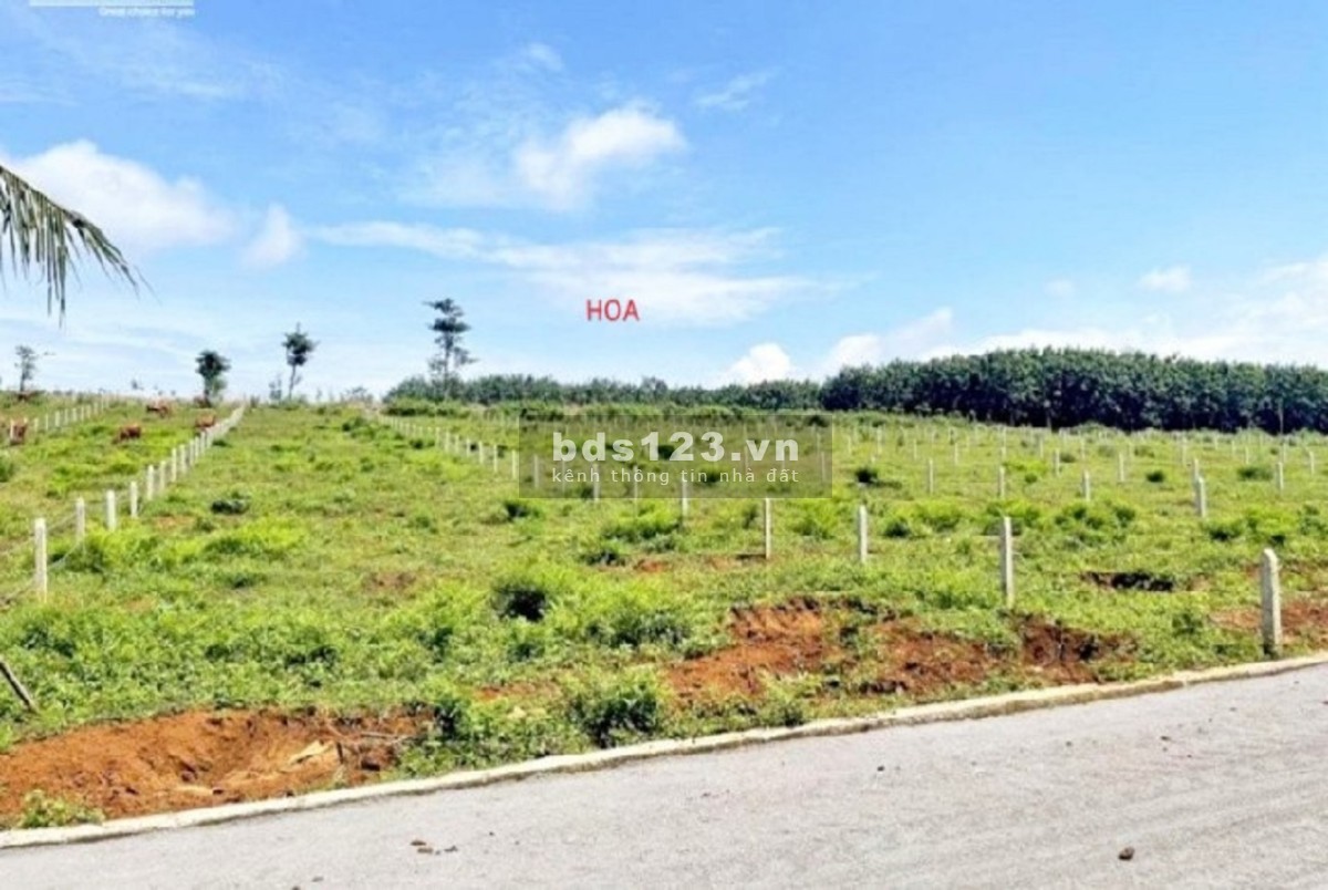Sang nhượng lô đất gấp 5.000M2 SHR, mặt tiền đường nhựa, sát QL20, giá chỉ từ 1 tỷ 390 triệu