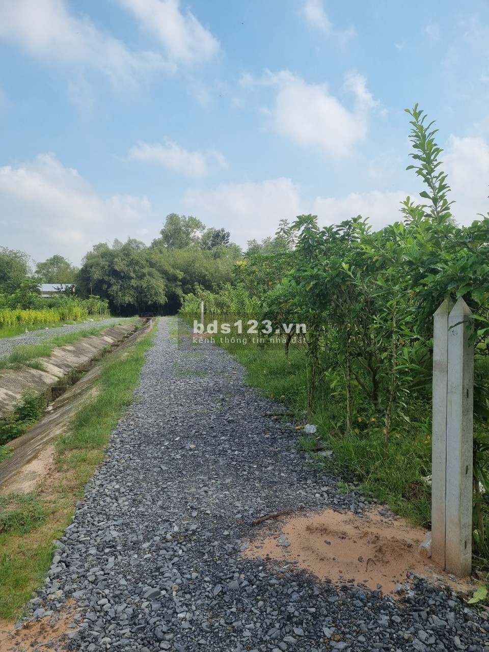 Chính chủ bán đất vườn 686m2 SHR gần đường TL7- Xã Thái Mỹ- Củ Chi