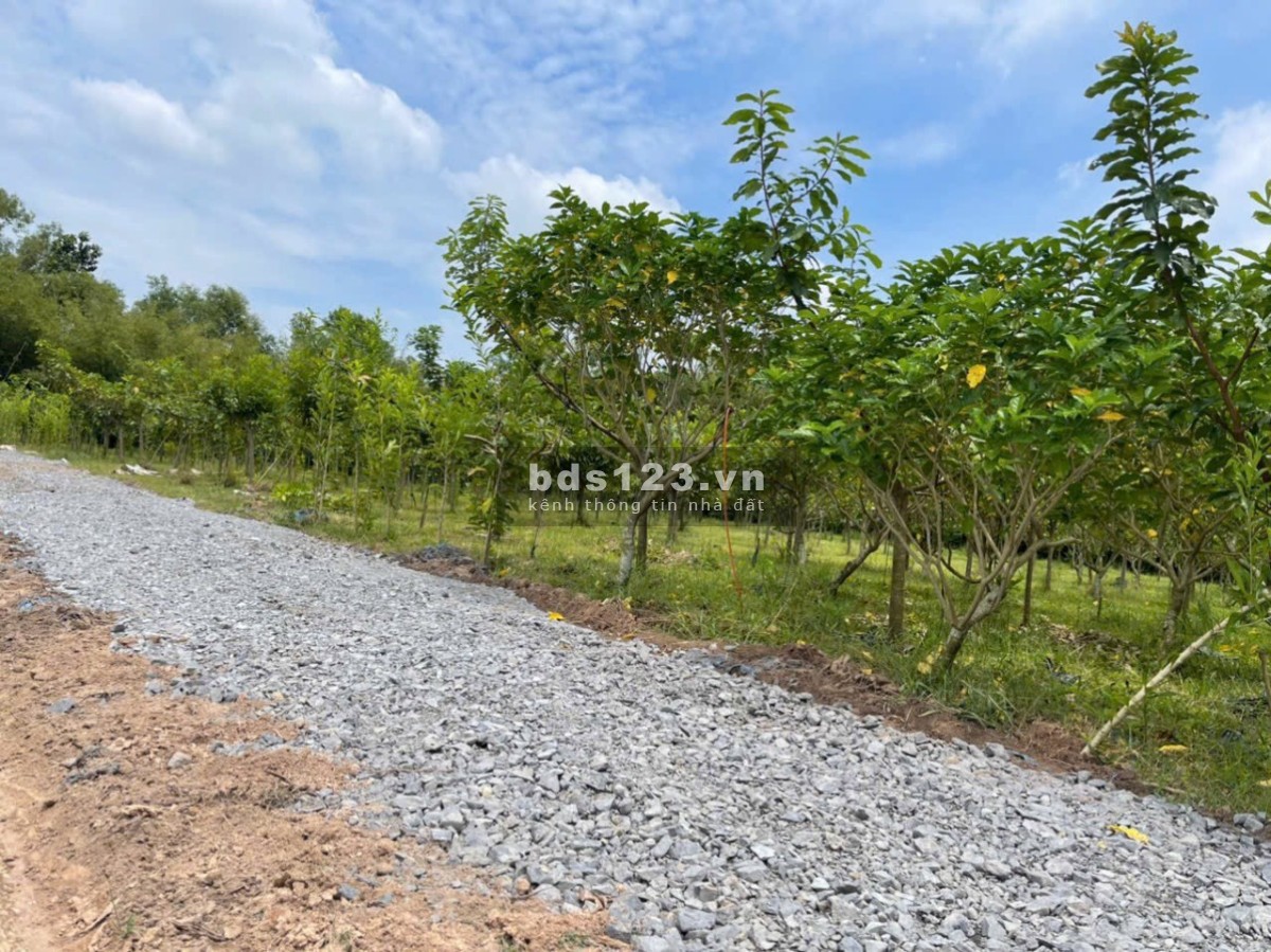 Chính chủ bán đất vườn 686m2 SHR gần đường TL7- Xã Thái Mỹ- Củ Chi