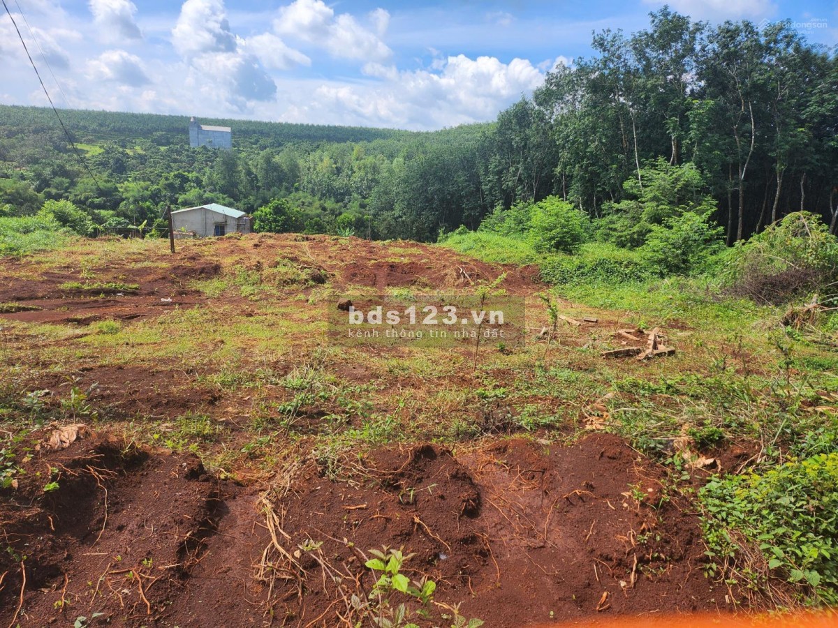 Bán đất chính chủ rộng 1000m2, 20x50m, đường bê tông, dân cư đông đường thông giá 450 triệu