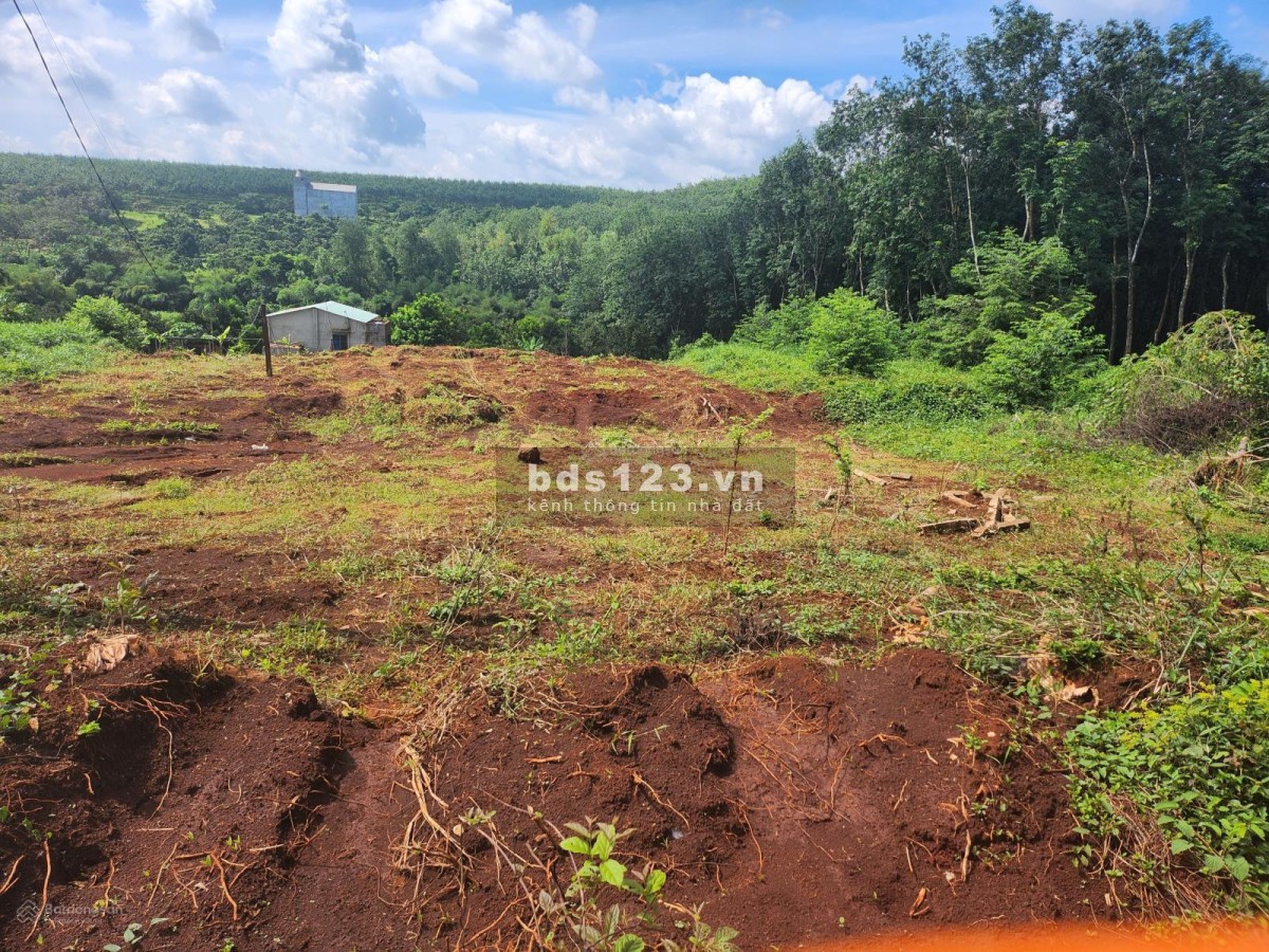 Bán đất chính chủ rộng 1000m2, 20x50m, đường bê tông, dân cư đông đường thông giá 450 triệu