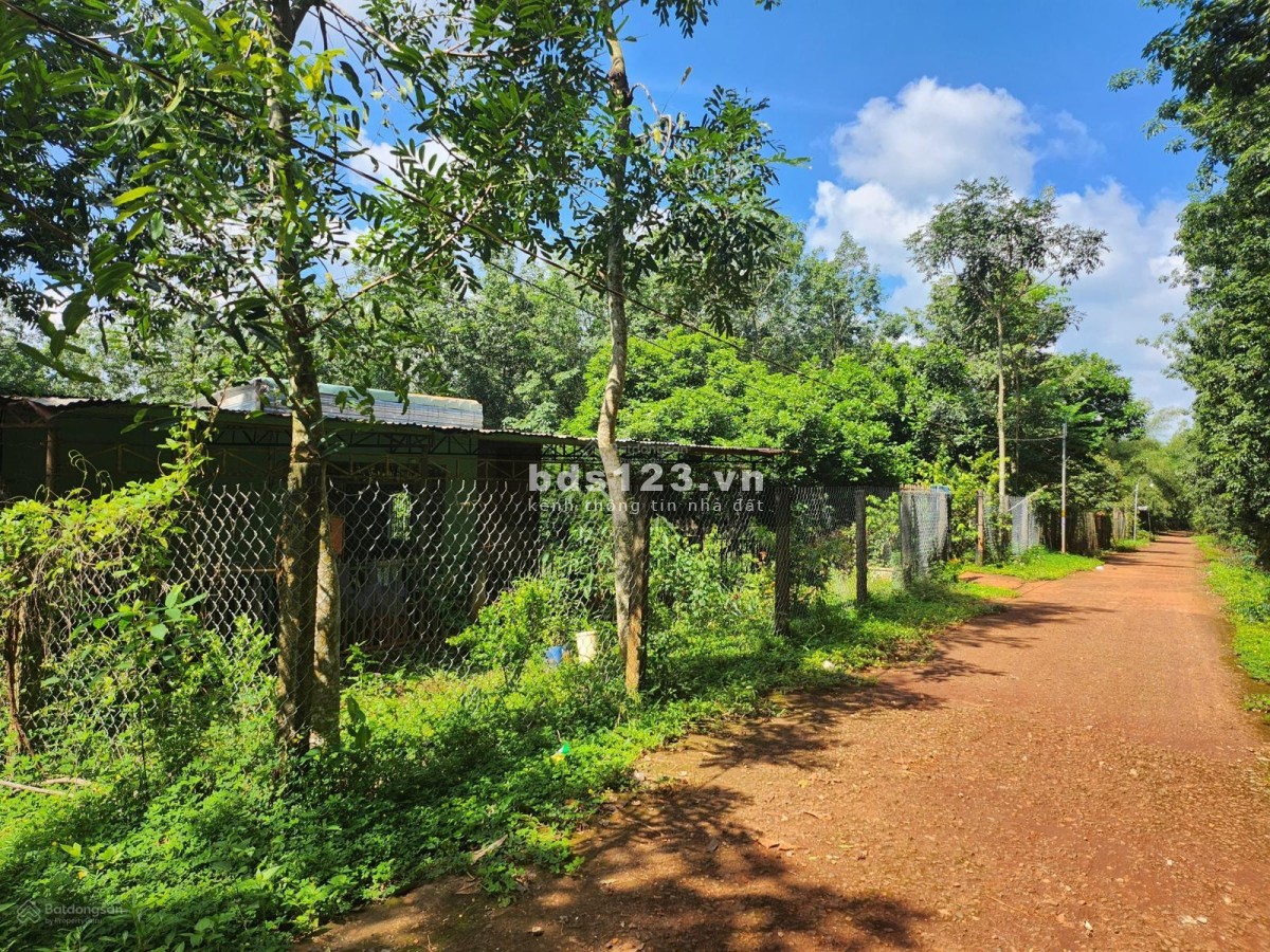 Bán đất chính chủ rộng 1000m2, 20x50m, đường bê tông, dân cư đông đường thông giá 450 triệu