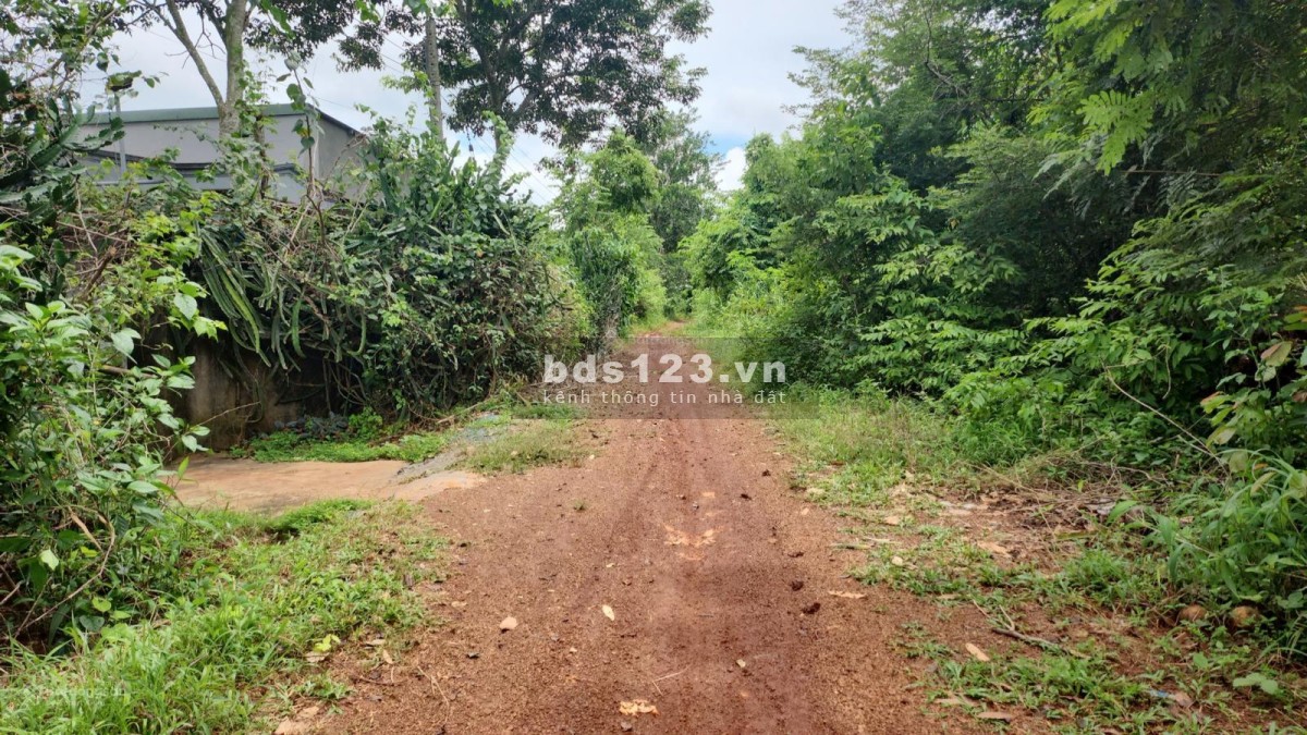 Bán 10x50m Lộc Ninh 100m2 thổ cư sẵn - Ngay KCN Lộc Tấn - Chỉ 250tr - quá hợp đầu tư