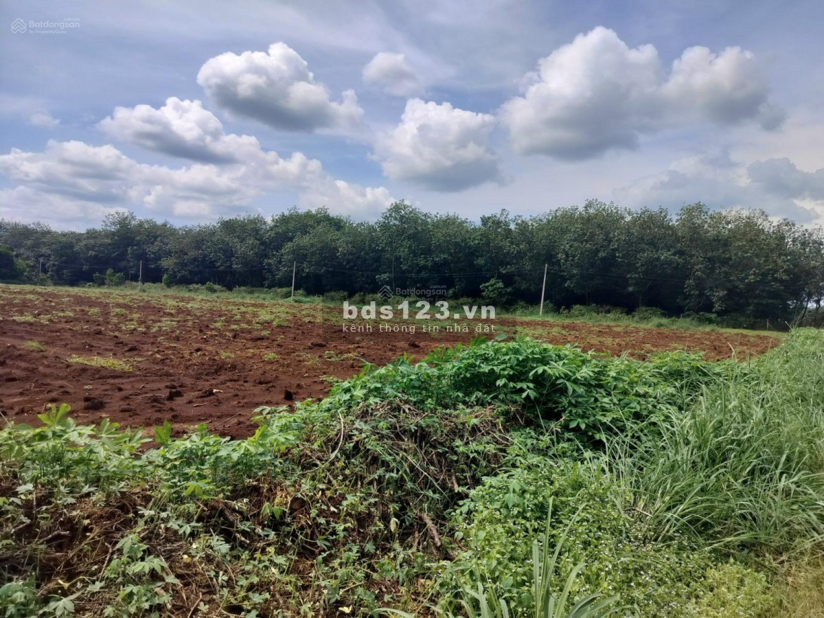Chính Chủ bán 5x40m NH Lộc Quang Lộc Ninh - Sẵn 100m2 thổ cư - Giá chỉ 180 triệu - Sát DT756