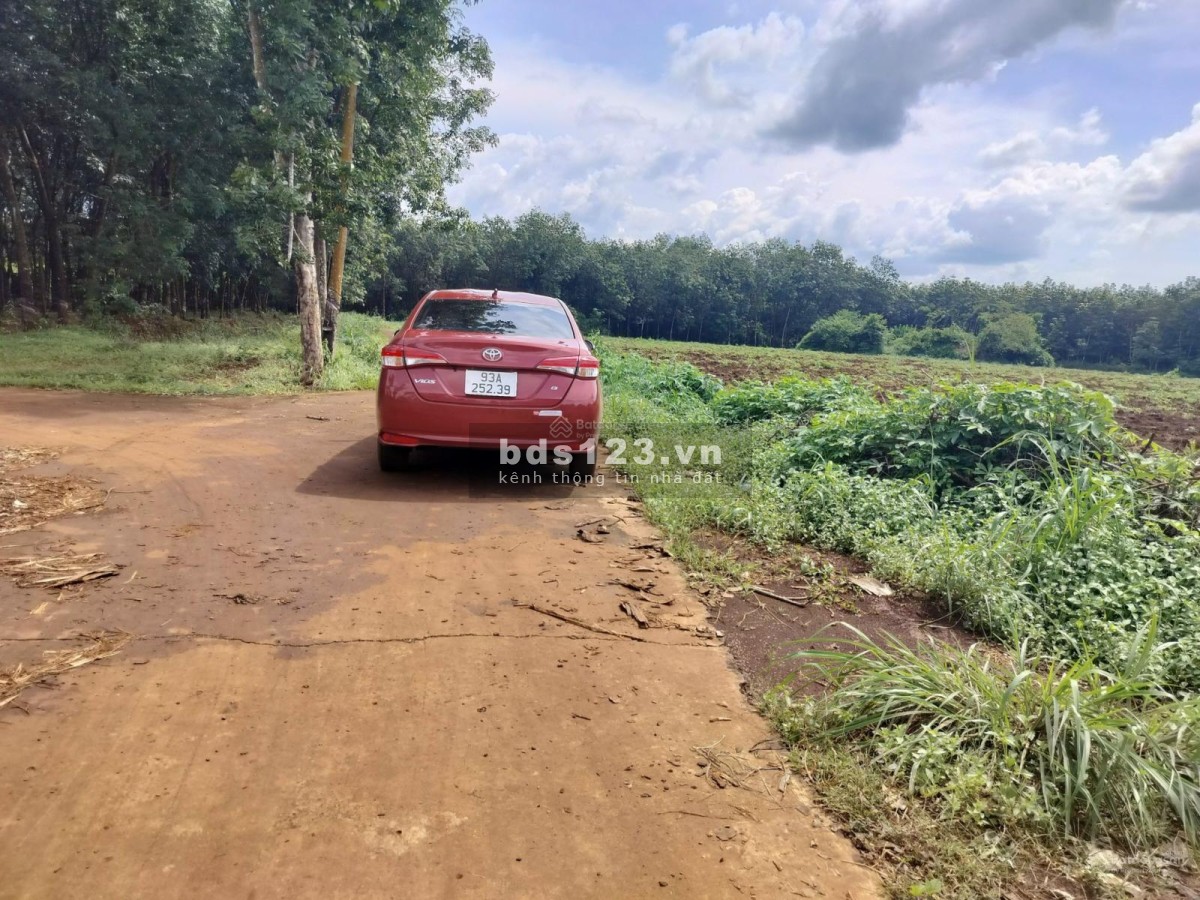 Chính Chủ bán 5x40m NH Lộc Quang Lộc Ninh - Sẵn 100m2 thổ cư - Giá chỉ 180 triệu - Sát DT756