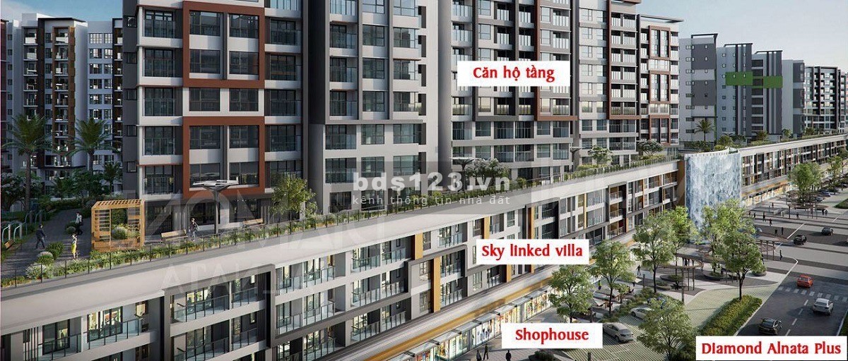 Cần bán căn 3PN Alnata Plus,DT 118m2, ban công rộng 5.8m,View Đông Nam,bán bằng giá gốc chỉ 6.8 tỷ.