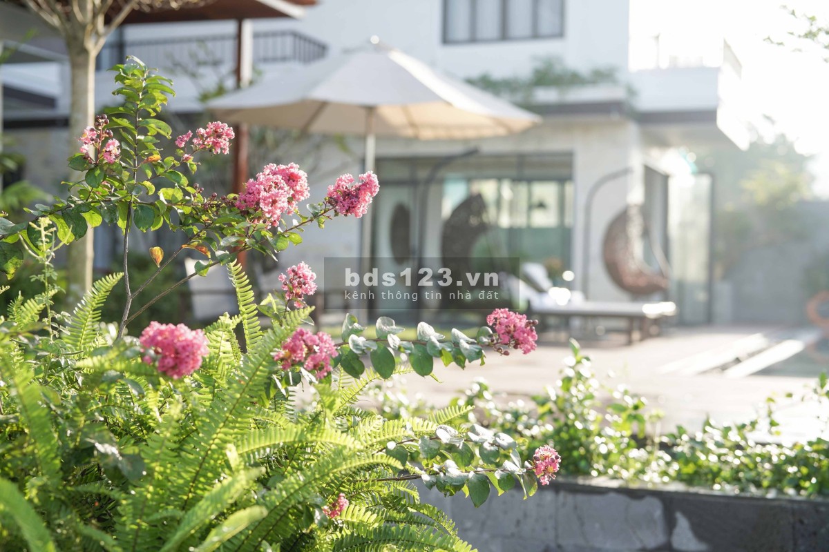 Chính chủ cần bán khách sạn Villa Boutique ở Hội An