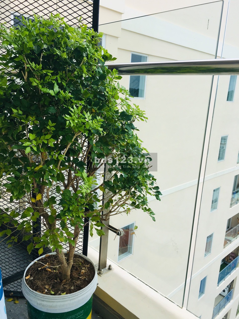Bán căn hộ chung cư goldsea sát biển - 172 Hoàng Hoa Thám,…