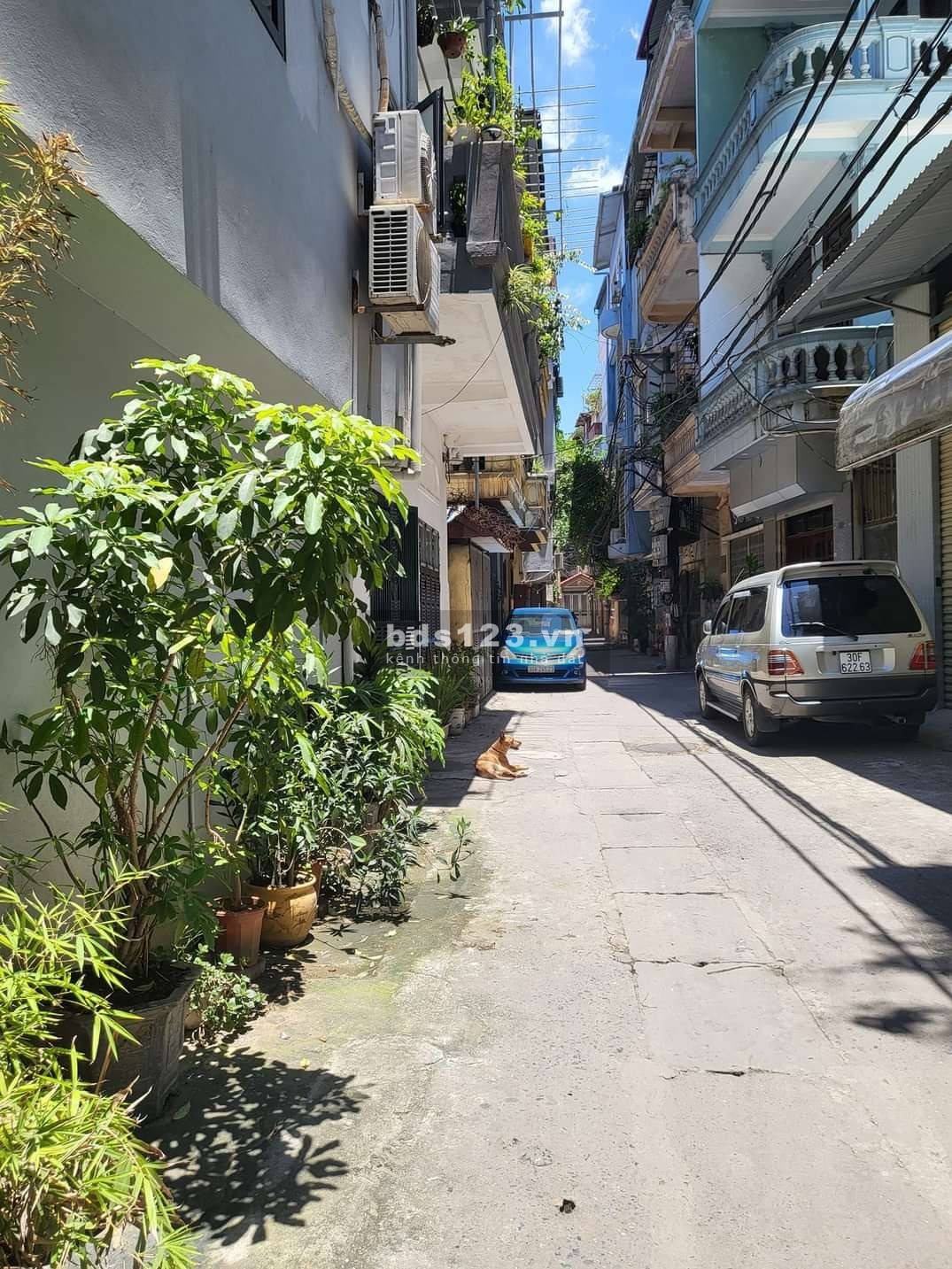 Chủ mót bán ra lộc 300 triệu cho nhà phố Hoàng Mai 50m2 giá còn hơn 4 tỷ