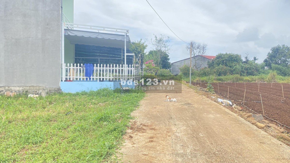 Bán đất hẻm ql20, Hiệp Thạnh Phi Nôm, Đức Trọng ngay gần Cty Bình Điền