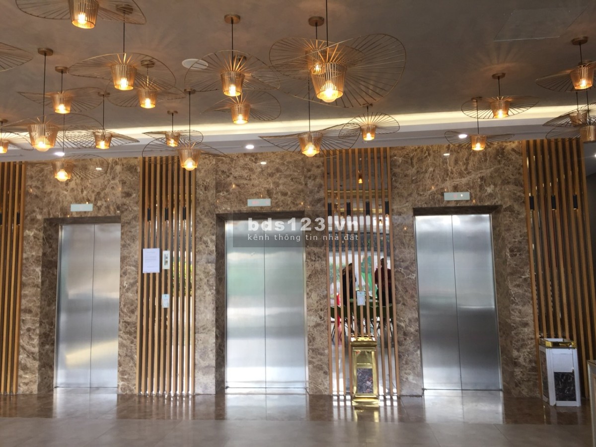 Tôi cần cho thuê căn hộ chung cư cao cấp Diamond Lotus Riverside