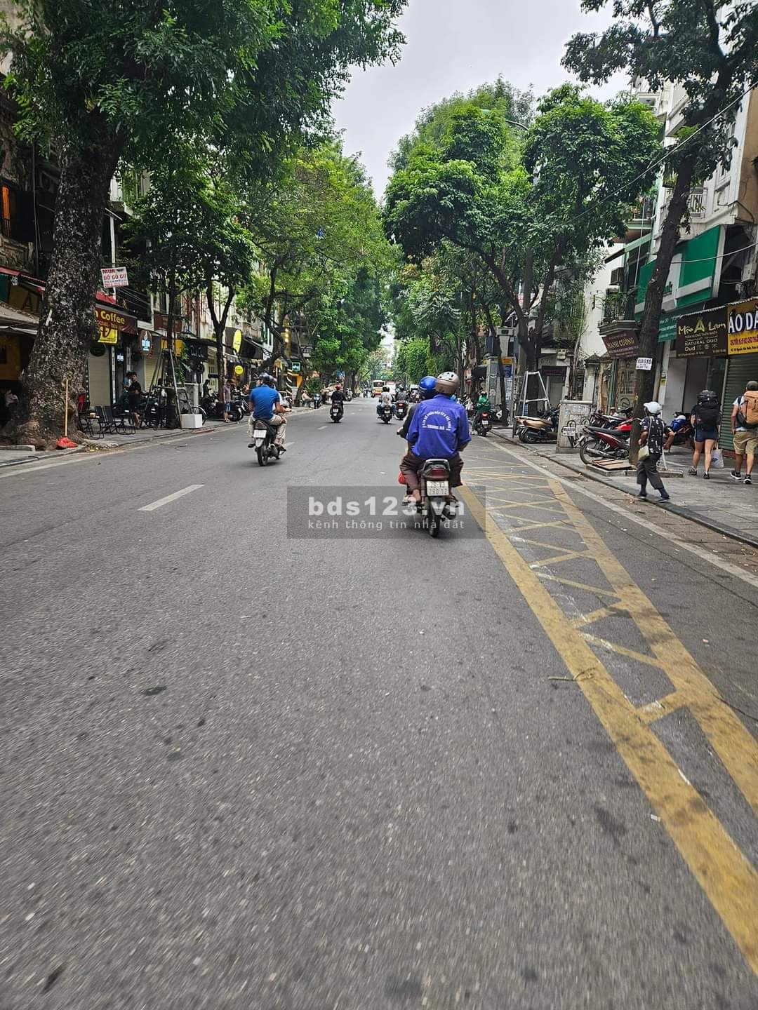 Bán nhà mặt phố Hàng Tre 99m2, 5 tầng, 60 tỷ, Hoàn Kiếm.