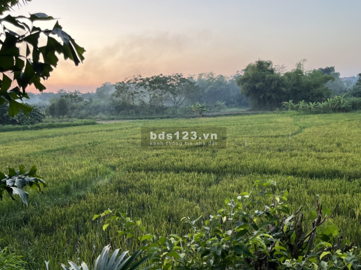 Bán lô góc 718m2 chỉ 880 triệu, view cánh đồng, cạnh homstay, đường bê tông ô tô tránh