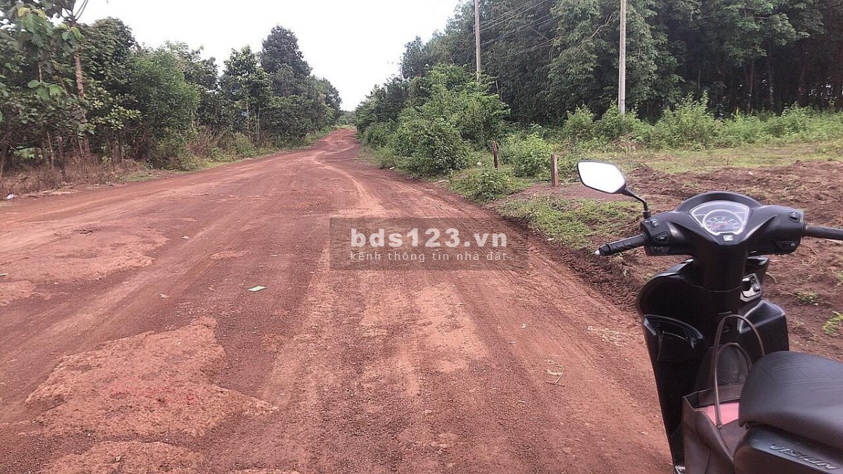 Bán đất 200m2 sẵn 100m thổ cư tại Thanh An Hớn Quản Bình Phước giá chỉ 250tr