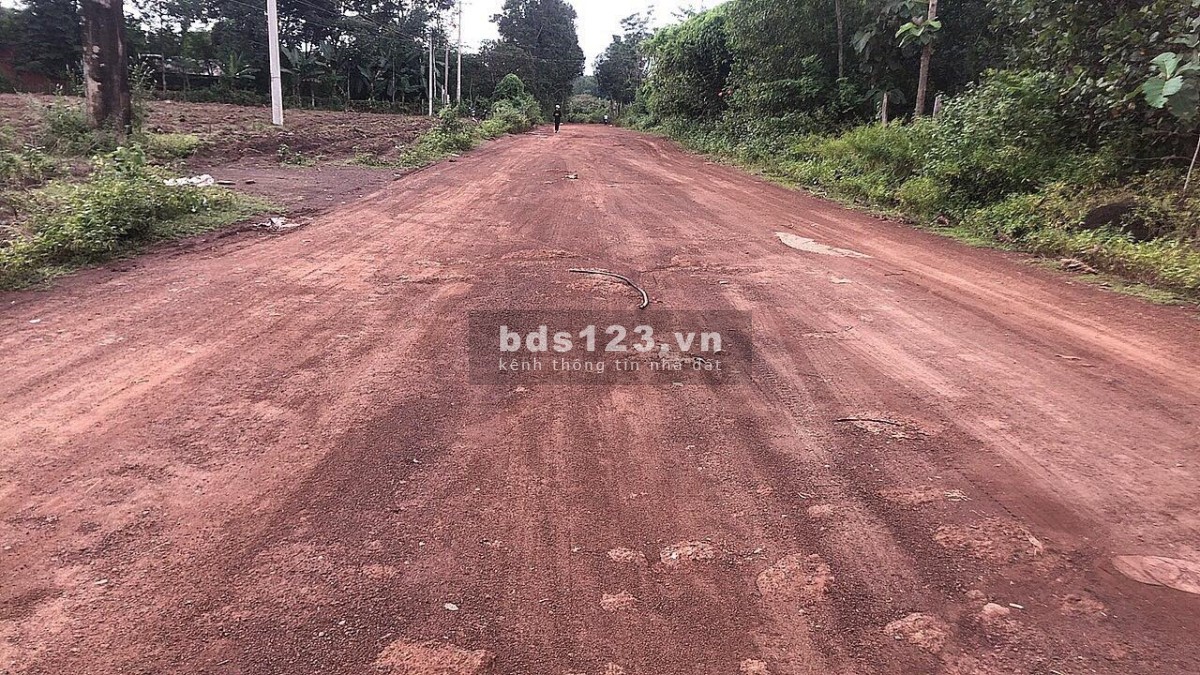 Bán đất 200m2 sẵn 100m thổ cư tại Thanh An Hớn Quản Bình Phước giá chỉ 250tr