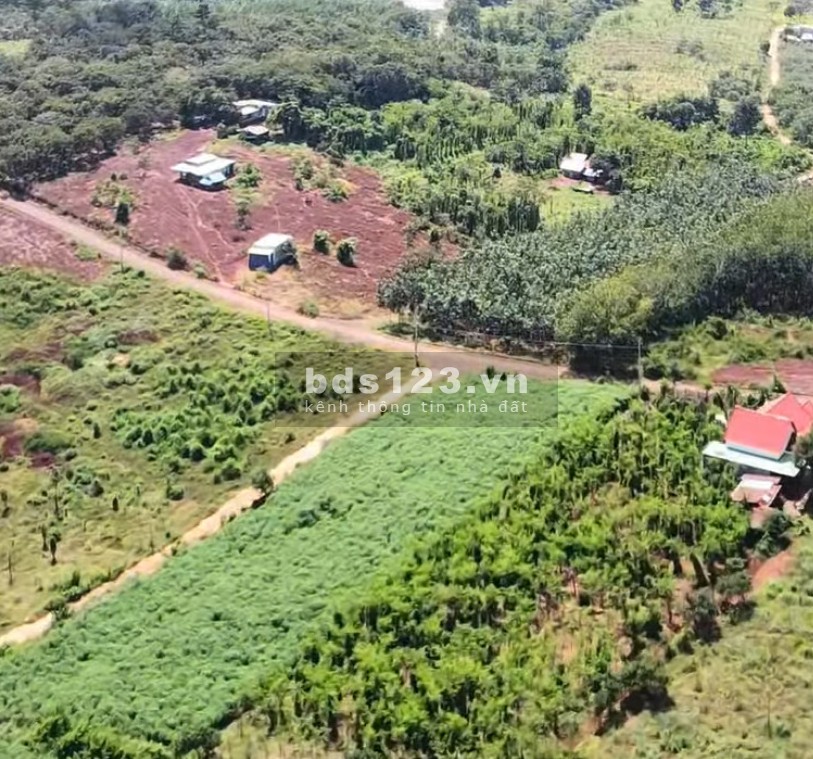 1000m2 đất thổ cư sẵn vườn sầu riêng mặt tiền đường nhà nước 18m cần bán gấp giá 220 triệu