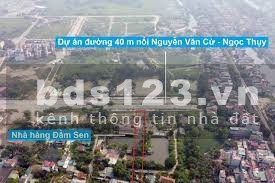 Bán Đất ngay mặt phố Ngọc Thụy lô góc 56m², kinh doanh đỉnh
