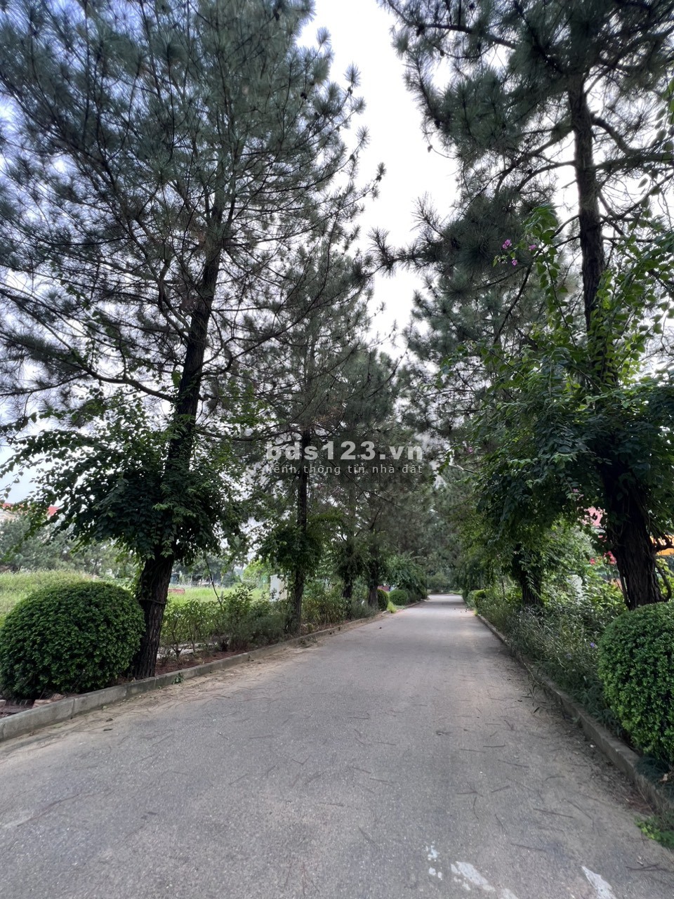 Chính chủ cần bán biệt thự liền kề căn C14 The Phoenix Garden giá 22 tỷ 400m2 có thương lượng
