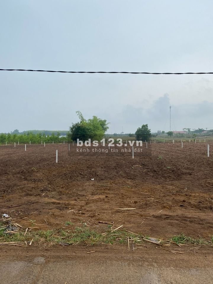 Em cần bán lô đất ở Trảng Bom để đi du học