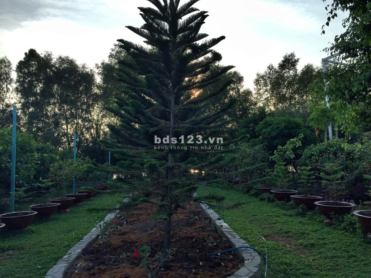 Chính chủ bán lô đất MT đường TĐ Liên Doanh, Đa Phước, Bình Chánh, 6.299m2 giá 70 tỷ.