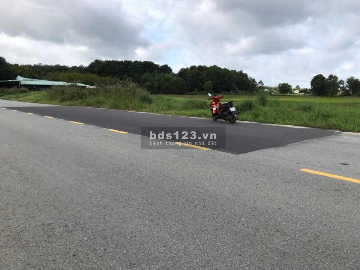 Đất Chính chủ bán gấp 480m Mt đường Ba Sa Phước Hiệp Củ Chi giá chỉ hơn 2 tỷ
