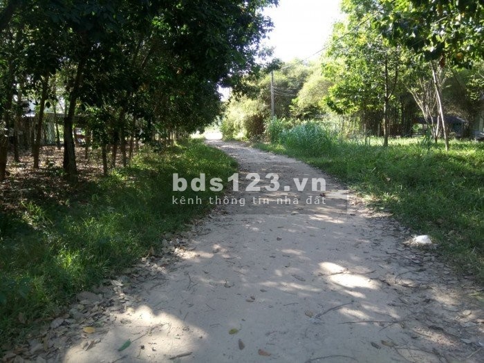Giá ngộp cần bán đất vườn 1077m SHR giá 1 tỷ 300 tại TL7, Xã Tháy Mỹ, Củ Chi