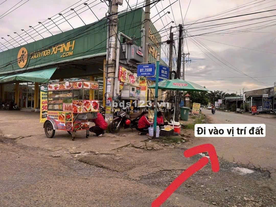 Đất chính chủ giá rẻ. Diện tích 250m2