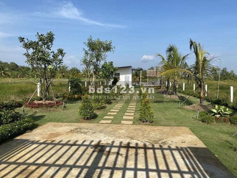 Bán gấp lô đất vườn 569m2 xã Trung An ngay ngã tư Tân Quy, cách tỉnh lộ 15 800m, xe hơi tới đất