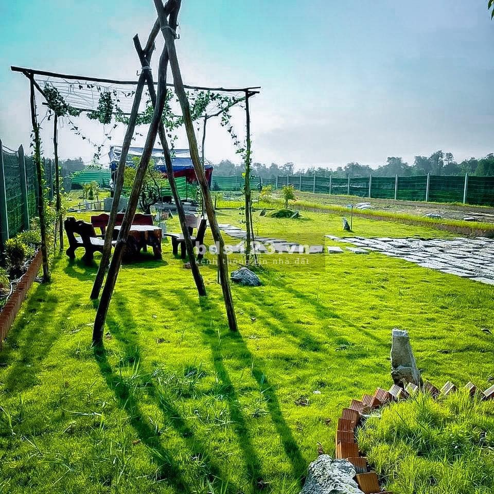 Bán gấp lô đất vườn 569m2 xã Trung An ngay ngã tư Tân Quy, cách tỉnh lộ 15 800m, xe hơi tới đất