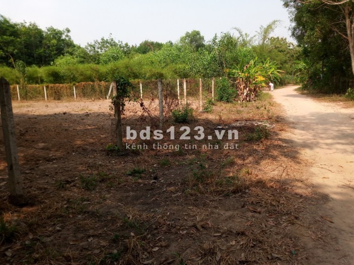 Tôi cần bán lô đất vườn 1077m2 SHR giá 1 tỷ 599 gần đường TL7- Xã Thái Mỹ- Củ Chi